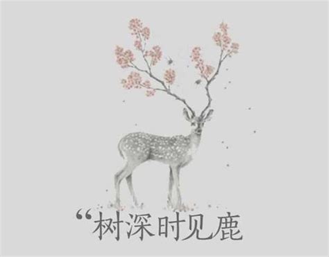 林深見鹿意思|網絡流行語「林深時見鹿」原來出自李白的詩句